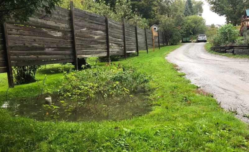 郊區住宅中的雨水花園