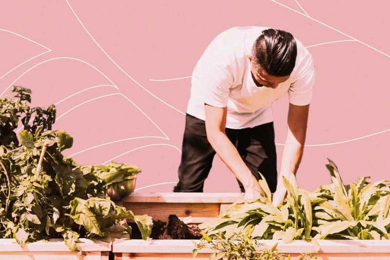 種植一個能吸收碳、幫助地球的花園