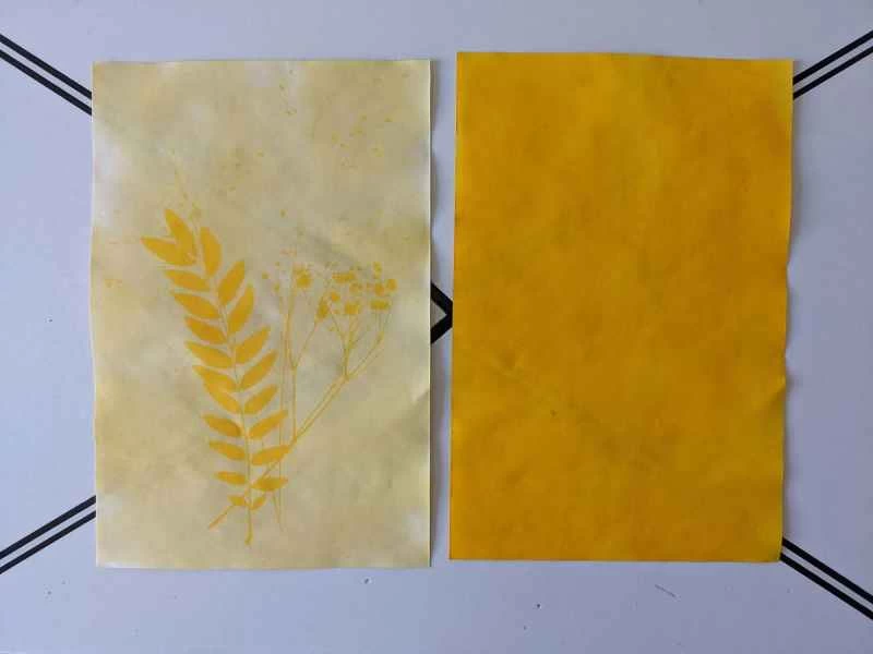 人類學實驗前後的對比