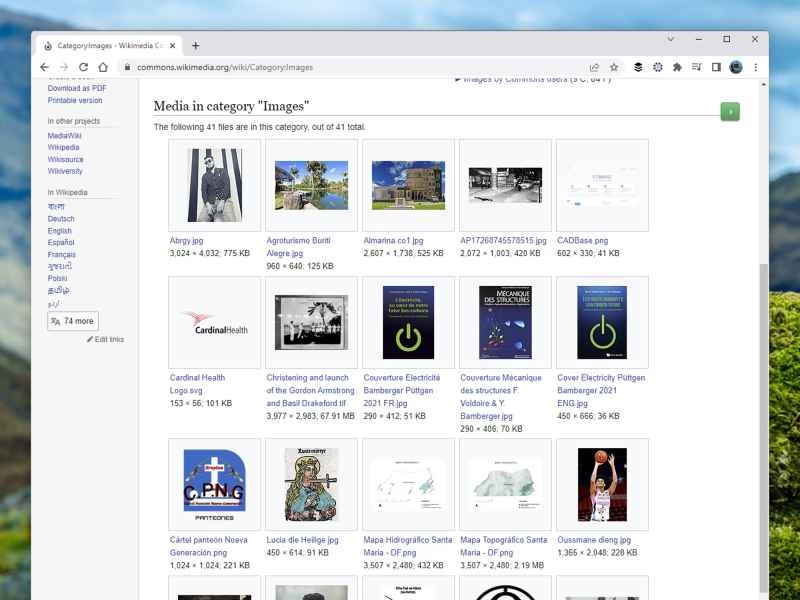 維基共享資源介面，用於為維基百科文章添加圖像。