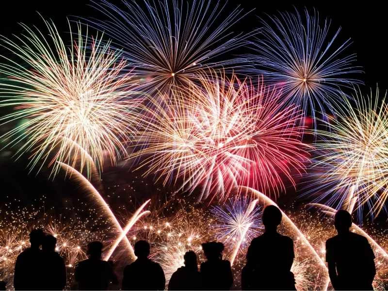 嬰兒和寵物在煙火表演期間可能會受到驚嚇，但您可以幫助他們放鬆。