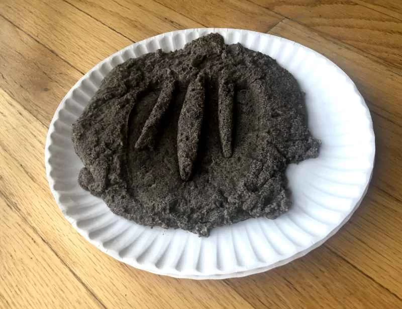 居家科學計畫：留下一些「化石」足跡