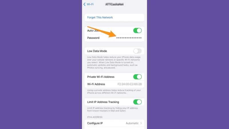 iOS WiFi 設定頁面，顯示如何找到已連接網路的 WiFi 密碼。