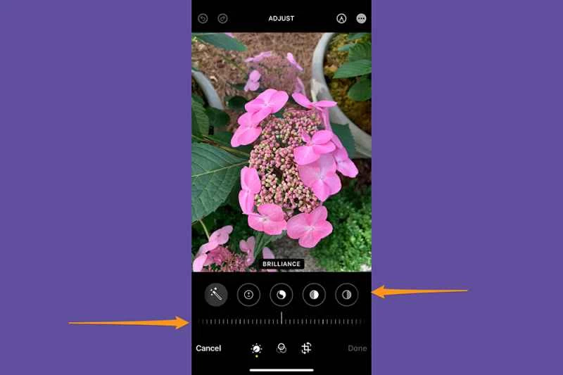 iPhone 照片應用程式處於編輯模式,顯示所有用於調整照片光線和色彩效果的編輯工具的位置。