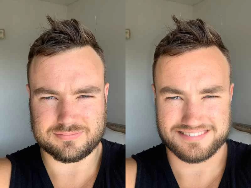 肖像的並排比較