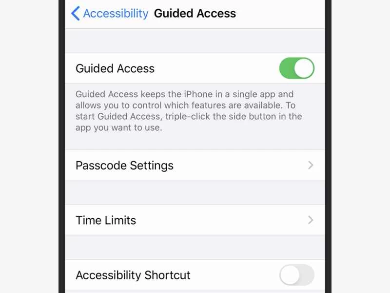 iOS 引導式存取的螢幕截圖