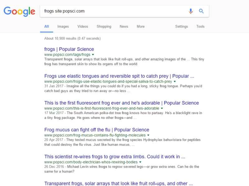 這是Google搜尋「大眾科學」網站上關於青蛙的文章的結果頁面。
