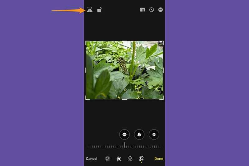 在 iPhone 照片應用程式中編輯照片時,會顯示鏡像翻轉選項的位置。
