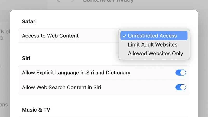Safari 造訪網頁內容設定的螢幕截圖